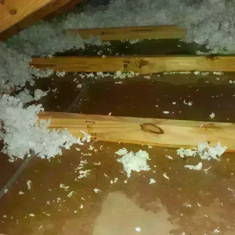 Attic Water Damage in Leawood, KS